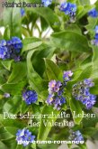 Das schmerzhafte Leben des Valentin (eBook, ePUB)