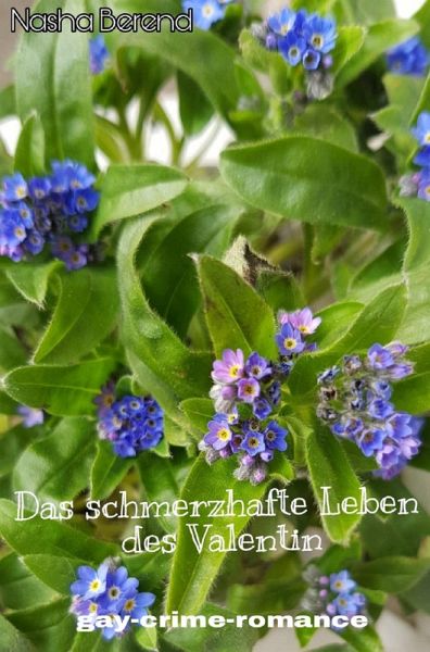 Das schmerzhafte Leben des Valentin (eBook, ePUB)