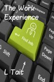 The Work Experience (eBook, ePUB)