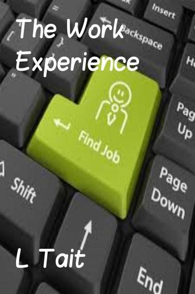 The Work Experience (eBook, ePUB)