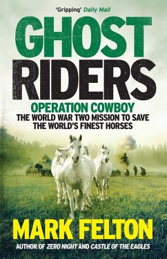 Ghost Riders (eBook, ePUB) - Felton, Mark