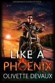 Like a Phoenix (Disordery Elements, #4) (eBook, ePUB)