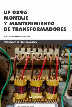 Montaje y mantenimiento de transformadores - Trashorras Montecelos, Jesús