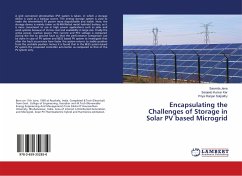 Encapsulating the Challenges of Storage in Solar PV based Microgrid