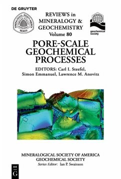 Pore Scale Geochemical Processes (eBook, PDF)