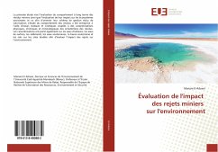 Évaluation de l'impact des rejets miniers sur l'environnement - El Adnani, Mariam