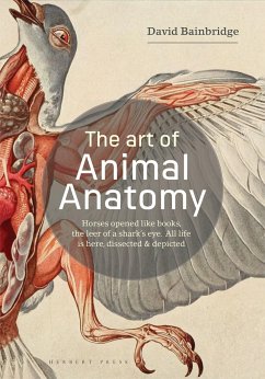 The Art of Animal Anatomy - Bainbridge, David