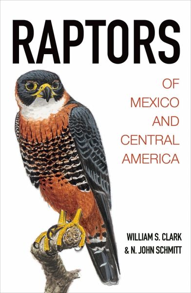 Raptors of Mexico and Central America (eBook, ePUB) Raptors of Mexico and Central America (eBook, ePUB)
