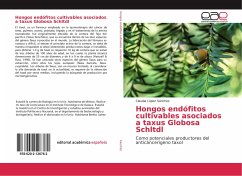 Hongos endófitos cultivables asociados a taxus Globosa Schltdl - Sánchez, Claudia López