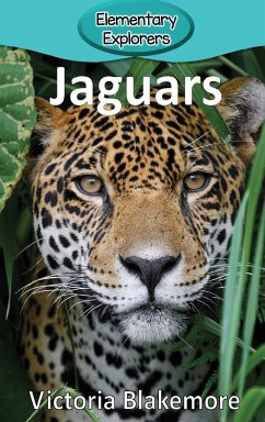 Jaguars - Blakemore, Victoria