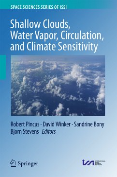 Shallow Clouds, Water Vapor, Circulation, and Climate Sensitivity (eBook, PDF)