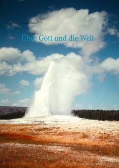 Über Gott und die Welt (eBook, ePUB) - Harrer, Roland