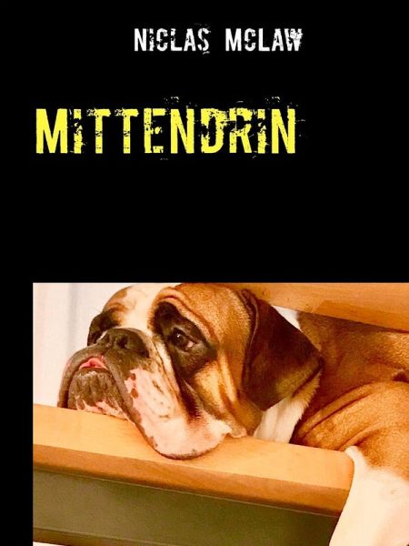Mittendrin (eBook, ePUB)