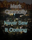 Never Saw It Coming (eBook, ePUB) Never Saw It Coming (eBook, ePUB)