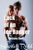 Luck of an Ice Badger (eBook, ePUB)