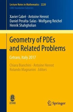 Geometry of PDEs and Related Problems - Cabré, Xavier;Henrot, Antoine;Peralta-Salas, Daniel