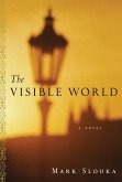 The Visible World (eBook, ePUB)