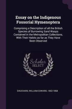 Cover Essay on the Indigenous Fossorial Hymenoptera