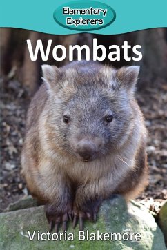 Wombats - Blakemore, Victoria