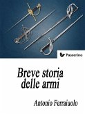 Breve storia delle armi (eBook, ePUB)