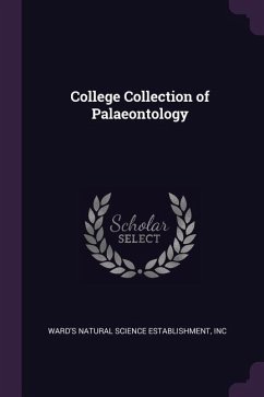 College Collection of Palaeontology