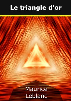 Le triangle d'or (eBook, ePUB)