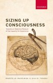 Sizing up Consciousness (eBook, ePUB)