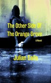 The Other Side Of The Orange Grove (eBook, ePUB)
