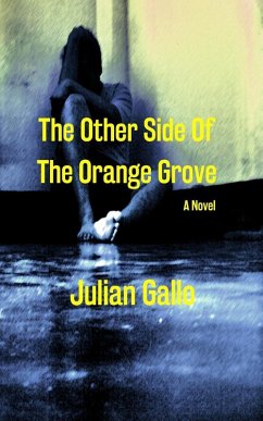 The Other Side Of The Orange Grove (eBook, ePUB) - Gallo, Julian