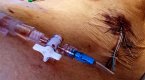 The puncturing of one lung (Notes From The Road) (eBook, ePUB)