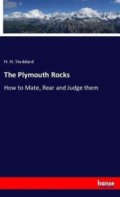The Plymouth Rocks