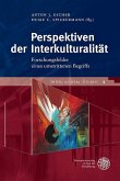 Perspektiven der Interkulturalität (eBook, PDF)