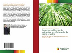 Impactos ambientais da extração e beneficiamento da rocha esteatito - Fernandes, Marcos Fernandes Teixera