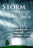 Storm Volume II (eBook, ePUB)