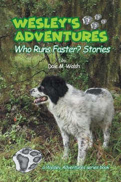 Wesley's Adventures - Walsh, Dale M.