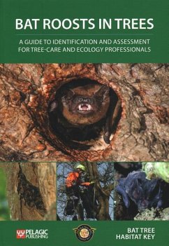 Bat Roosts Trees: Guide Identification - Bat Tree Habitat Key