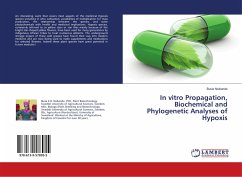 In vitro Propagation, Biochemical and Phylogenetic Analyses of Hypoxis