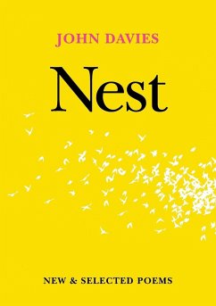 Nest - Davies, John
