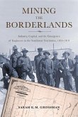 Mining the Borderlands: Industry, Capital, and the Emergence of Engineers in the Southwest Territories, 1855-1910