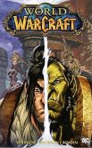 WORLD OF WARCRAFT 01