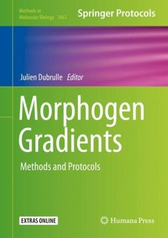 Morphogen Gradients