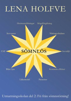 Sömnlös (eBook, ePUB) - Holfve, Lena