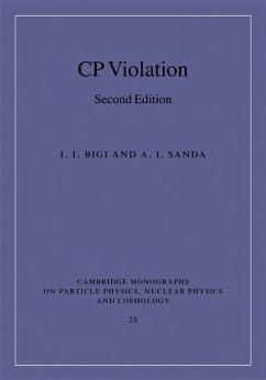 Cover CP Violation (eBook, ePUB)