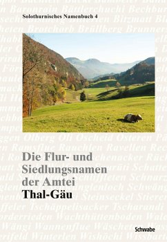 Die Flur- und Siedlungsnamen der Amtei (eBook, PDF)