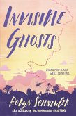 Invisible Ghosts (eBook, ePUB)