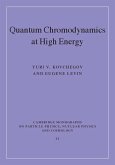 Quantum Chromodynamics at High Energy (eBook, ePUB)