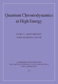 Quantum Chromodynamics at High Energy (eBook, ePUB)