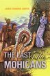 Last of the Mohicans (eBook, ePUB) - Bild 1