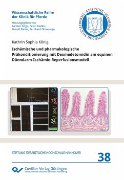Ischämische und pharmakologische Präkonditionierung mit Dexmedetomidin am equinen Dünndarm-Ischämie-Reperfusionsmodell - König, Kathrin Sophia