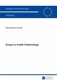 Essays in Arabic Dialectology (eBook, ePUB)